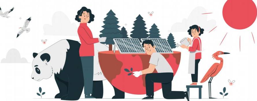 Futuro energia solare: uno sguardo al domani
