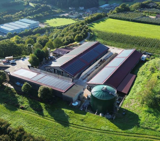 Aerial view of an industrial complex with solar panels covering long roofs, surrounded by green fields and trees.