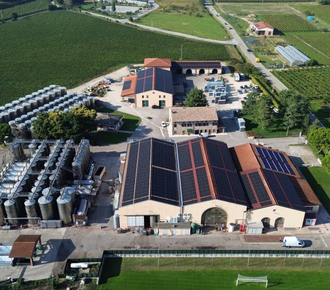 Aerial view of a farm complex with solar panels on rooftops, many silos on the left, and surrounding vineyards and green fields nearby.