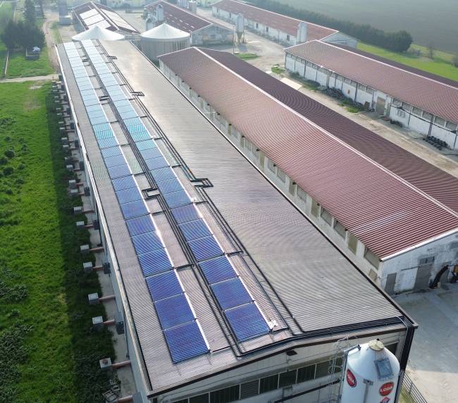 Aerial view of a long industrial barn complex with rows of solar panels on the roof and green fields on one side and farmland on the other side.